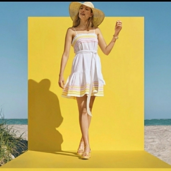 NWT Lisa Marie Fernandez x Target Ric Rac Dress, Size 1X - Picture 1 of 14